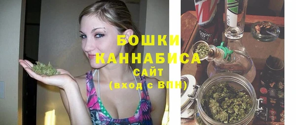 соль ск Арсеньев