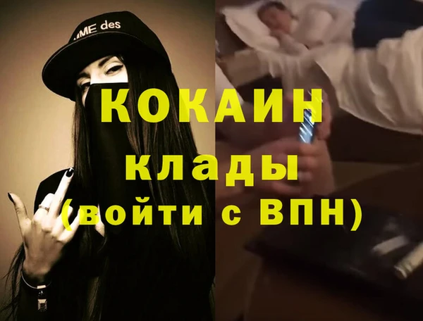 трава Аркадак