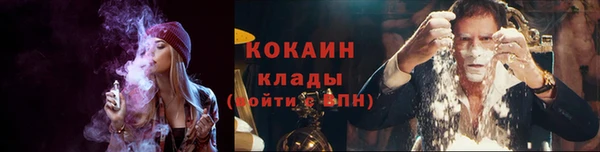 соль ск Арсеньев