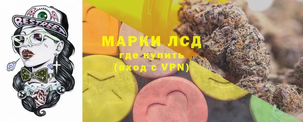 трава Аркадак