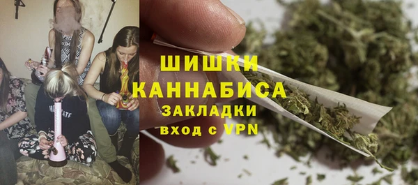 трава Аркадак